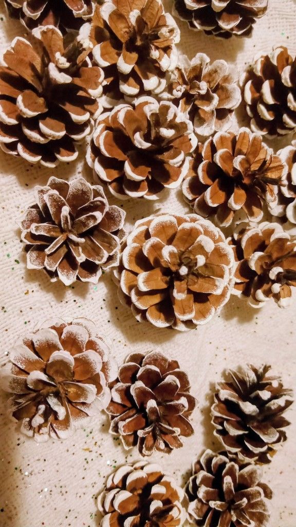 Painted/Scented pinecone decorations