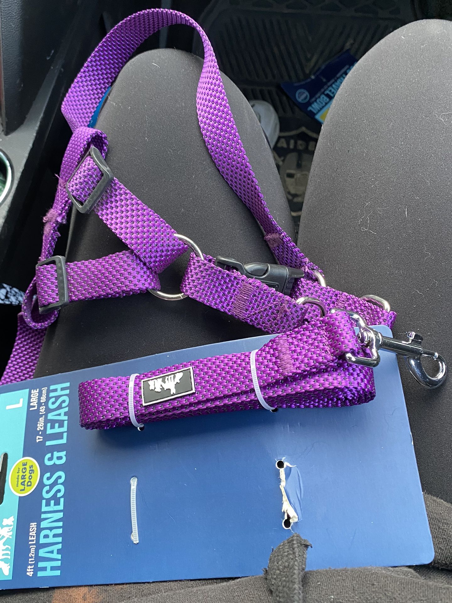 Leash And Harness
