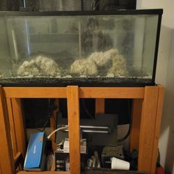 Salt Water Tank Or Fish Tank