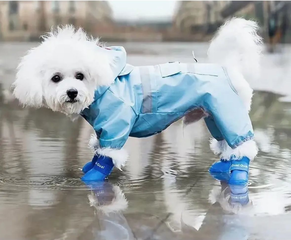 Rain/Snow Boots And Rain/Snow Coat For Dog