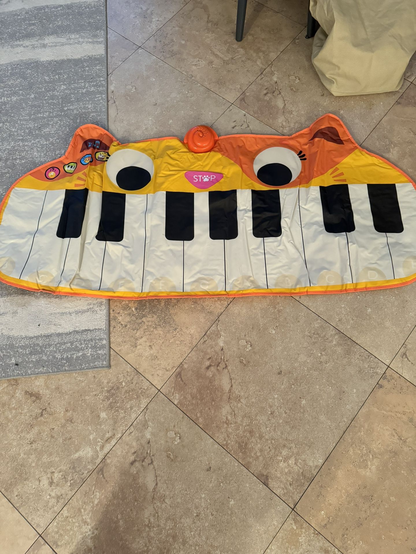 Land Of B Musical Cat Floor Piano