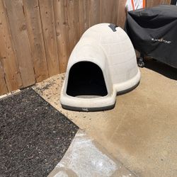 Dog Igloo
