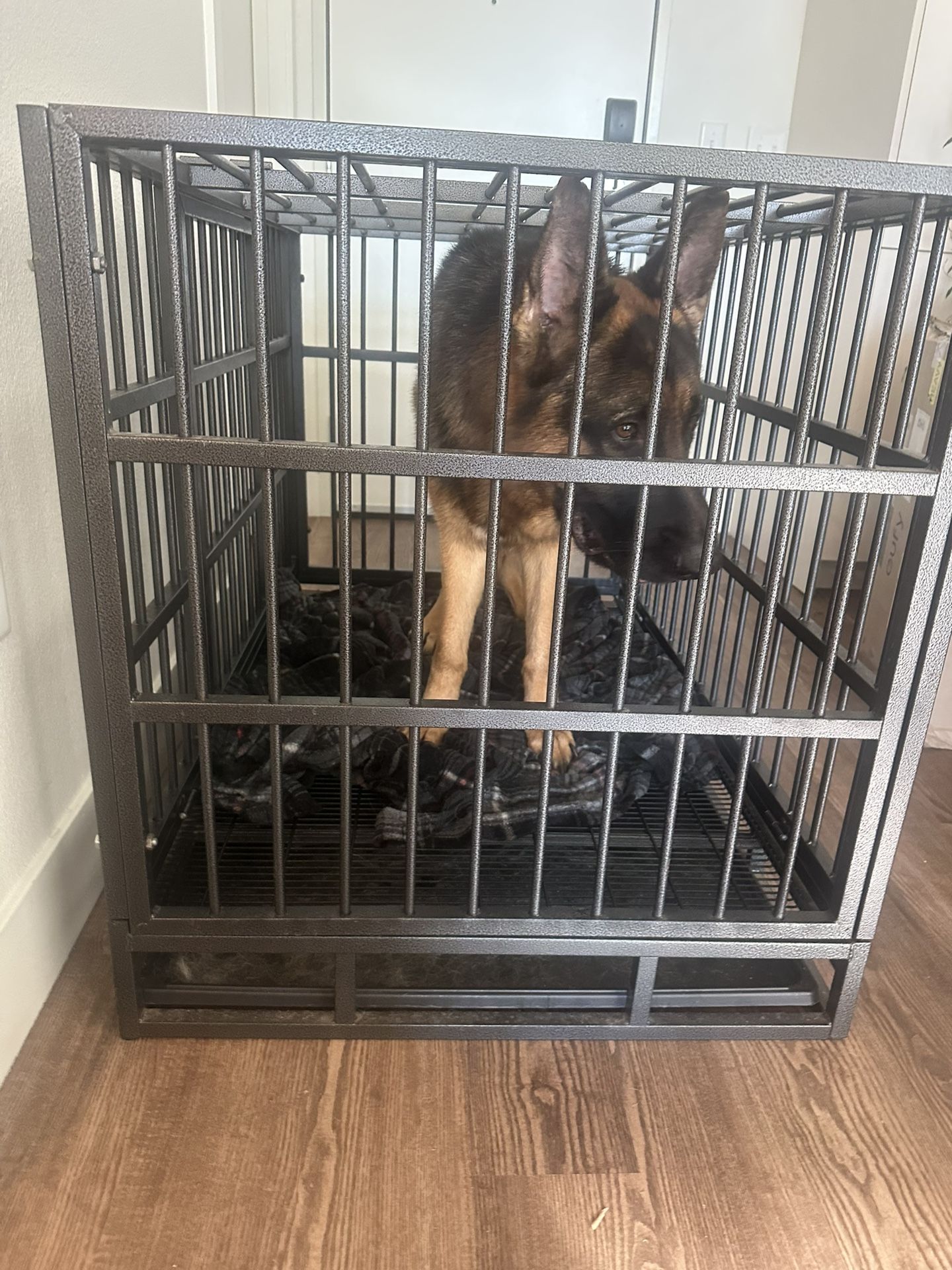 Large Sturdy Dog Kennel