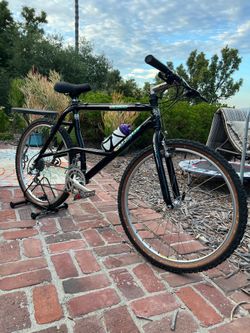Vintage AlpineStars Mountain Bike