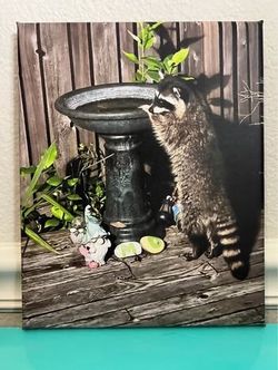 8x10 Canvas Print— Bird Bath Bandit