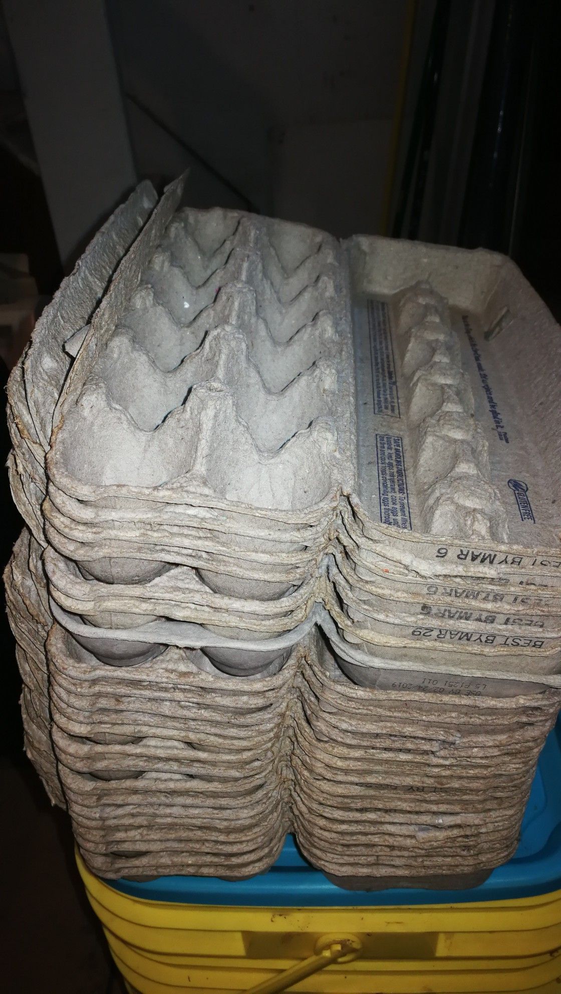 Free about 40 used egg cartons in clean and good condition