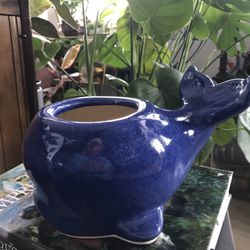 Blue Whale Planter With Drainage 