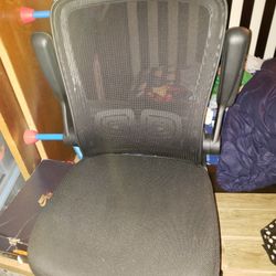 Computer Chair With Lower Back Lumbar Support With Lifting Armrest 