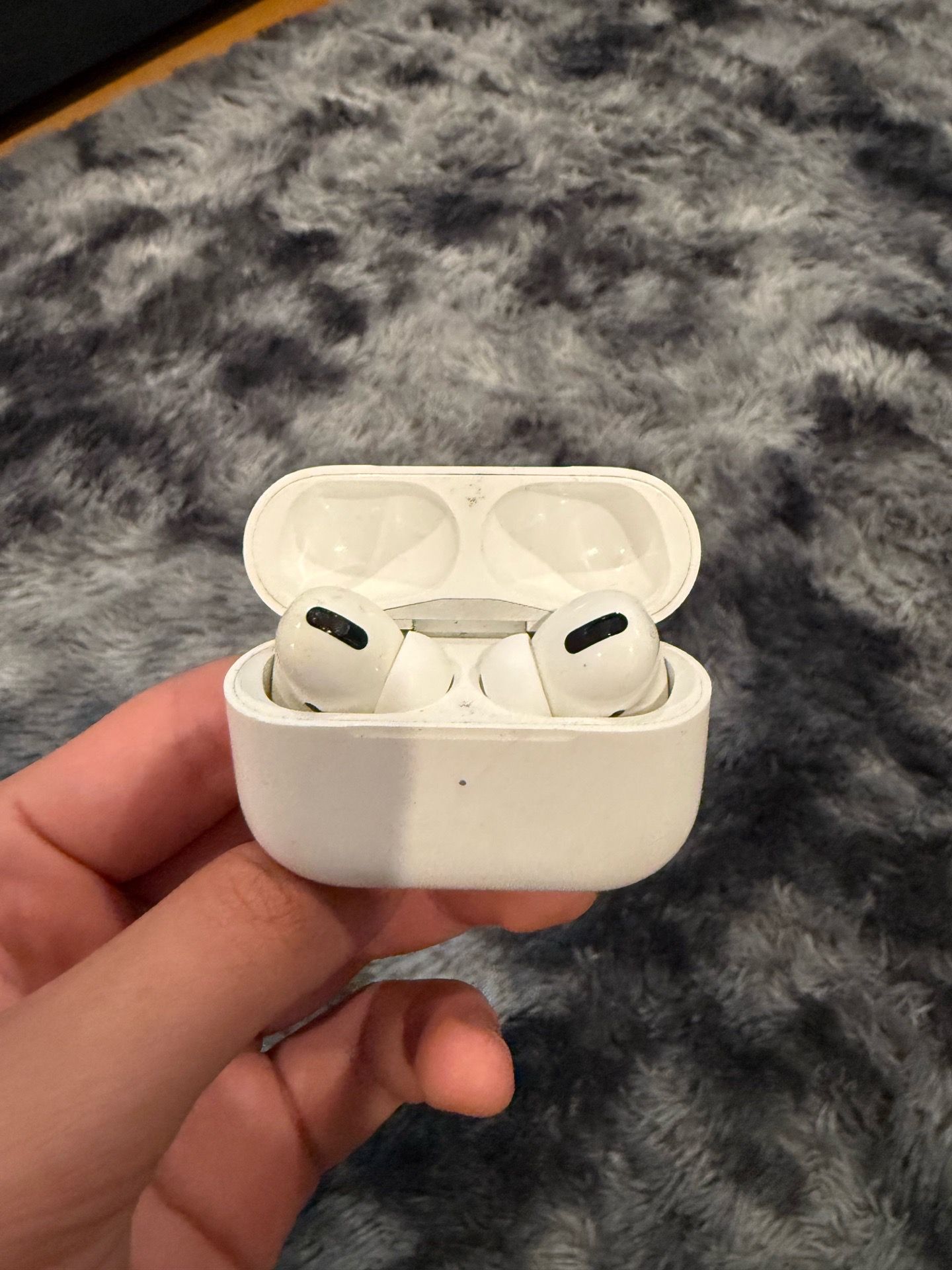 Apple AirPods Pro (Used – Works Great)