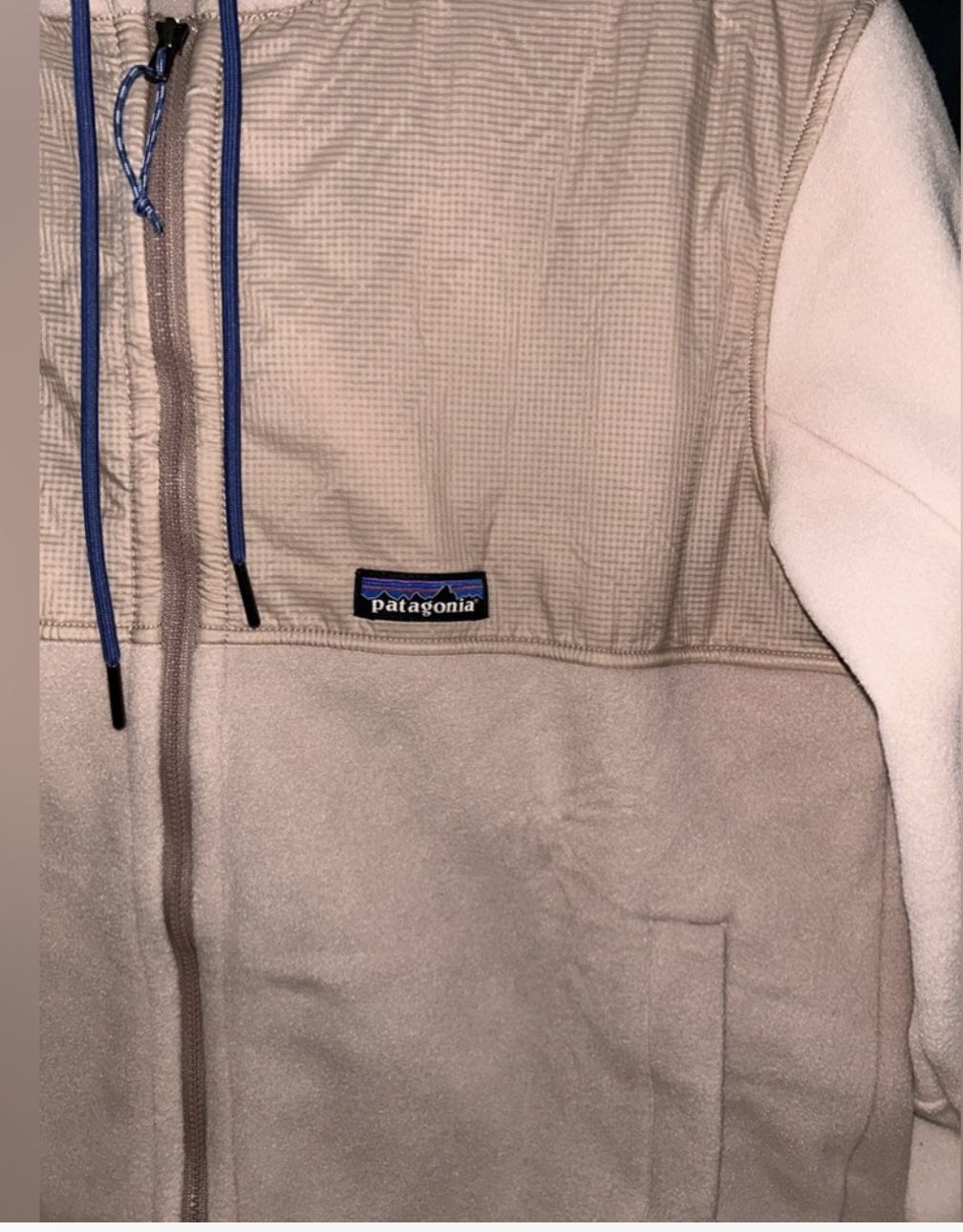 Patagonia Microdini Fleece Hoody