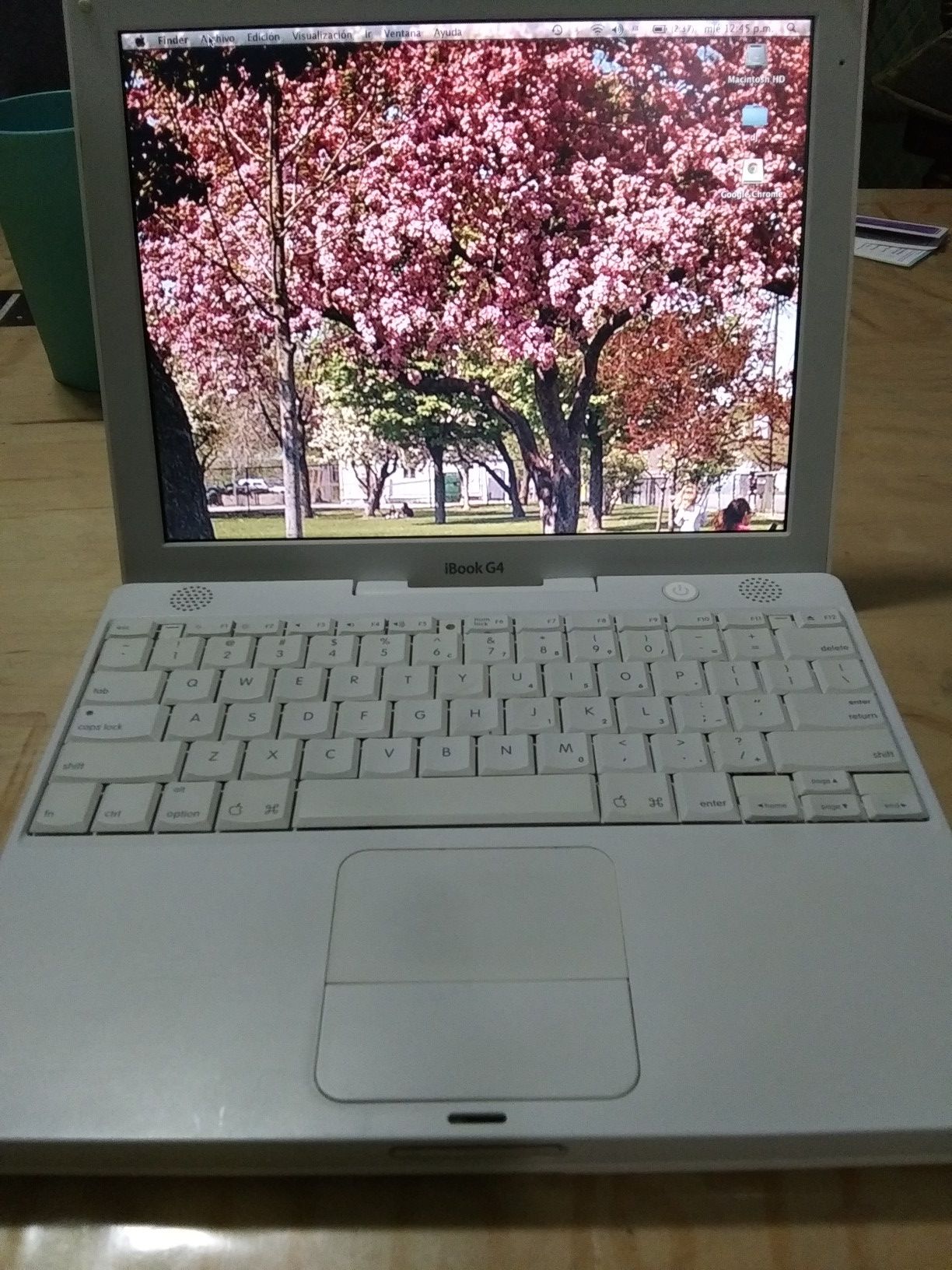 Ibook g4