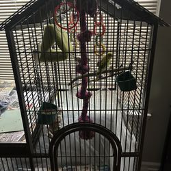 Bird cage setup