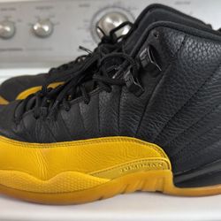 Jordan 12 