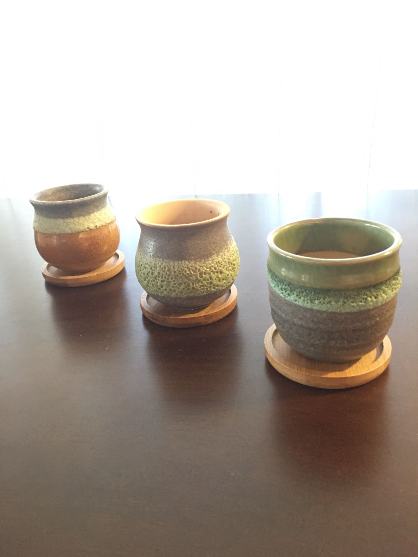 Succulent Pots!! with bamboo trays - 3 Adorable Ceramic Cactus Pots with Bamboo Coasters