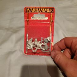 Warhammer Lizardman Saurus With Spears 8585E