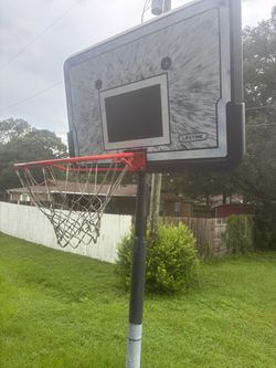 Lifetime Portable Basketball Hoop