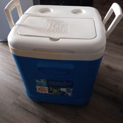 Igloo Cooler( Blue And White)