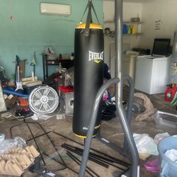 Everlast Punch Bag 