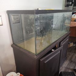 Salt Water Fish Tank
