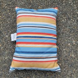 Indoor or Outdoor Throw Pillows