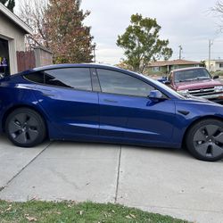All Auto Glass Tinted