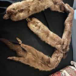 Vintage Mink Fur Mink pastel scraf 