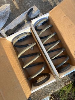 Tesla model 3 Stock Coil Springs & Rear Arms