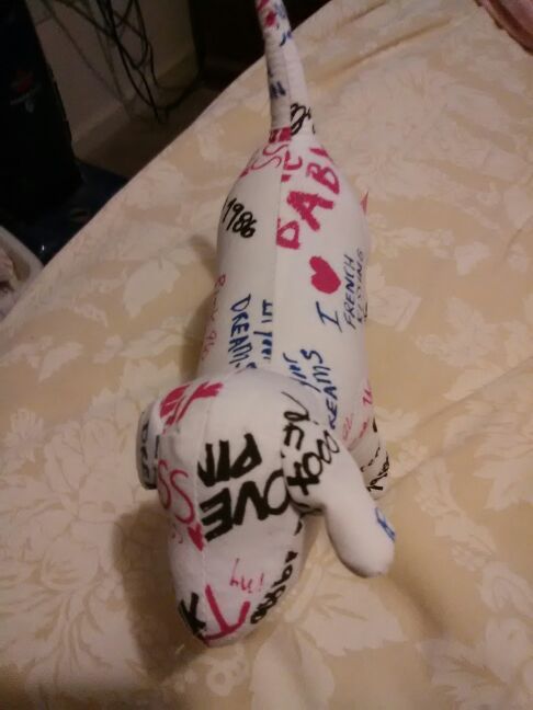 Victoria's secret dog