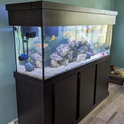135 Gallon Fresh Water Aquarium-COMPLETE