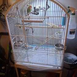 Bird  Cage
