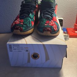 LeBron XXI Prm Size 10.5