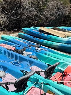 Kayak