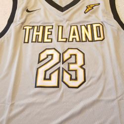 LeBron James men's adult LG jersey