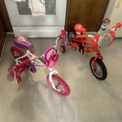 Paw Patrol Bikes (Skye) (Marshall) 
