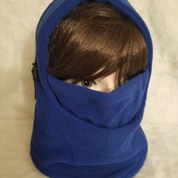 Snow/ski Cover