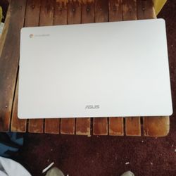 Chromebook, Asus, Grey, Medium