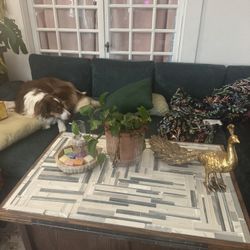 Handmade Coffee Table/ Dining Table 