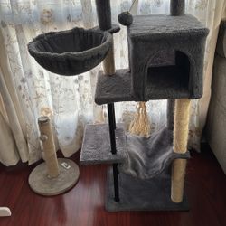 cat tree