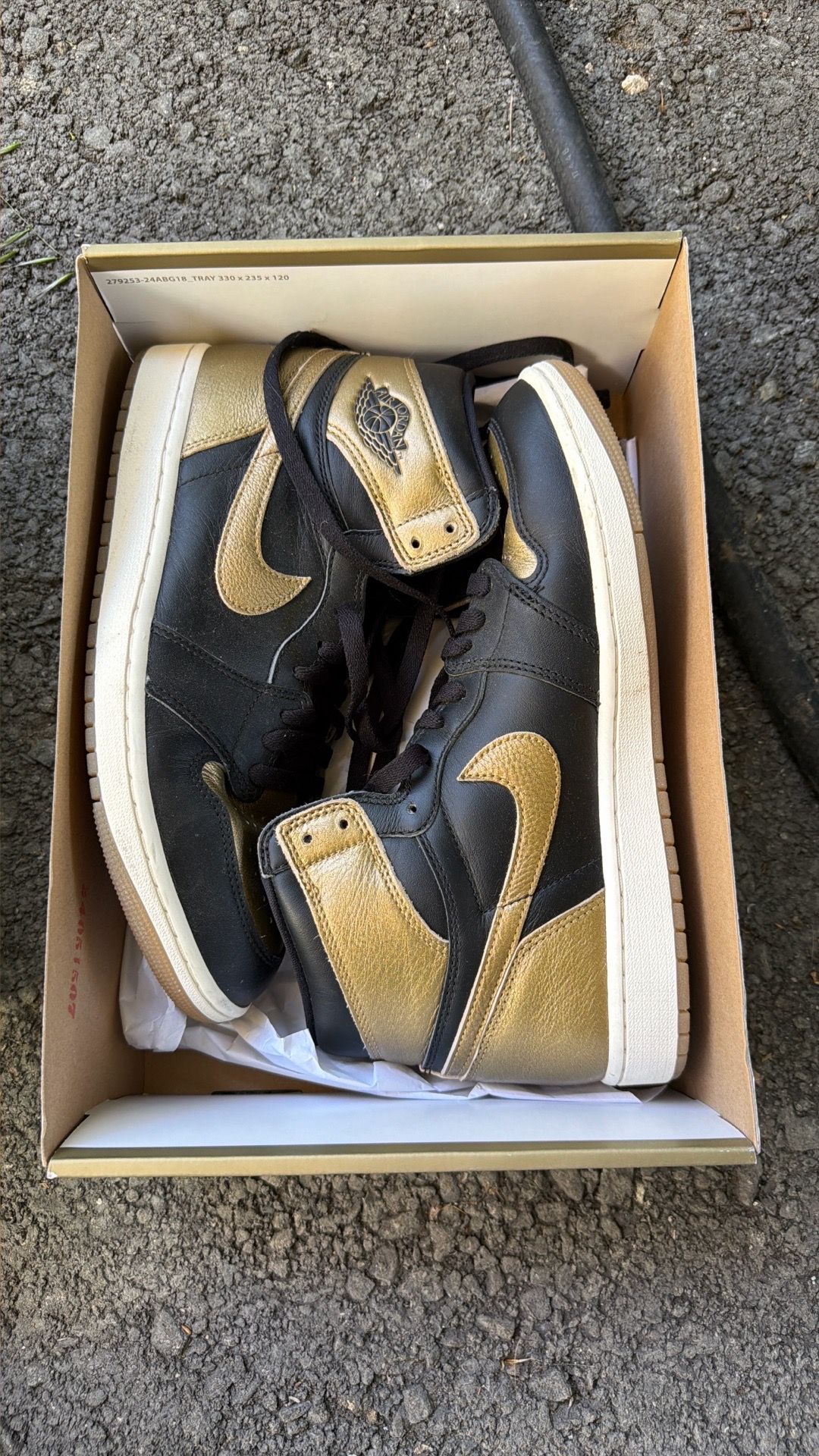 Air Jordan 1 Retro High OG Size 10