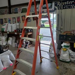 8ft Werner Ladder
