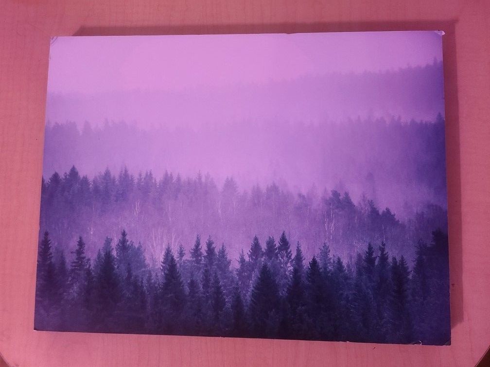 Blur Forest