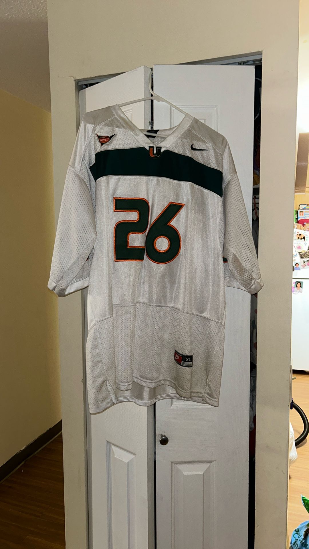 Sean Taylor Miami Hurricanes Jersey