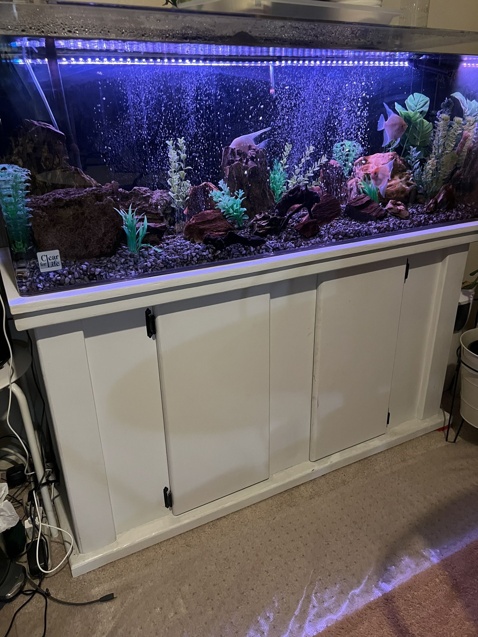 Fish Tank Hard Wood Stand Painted White