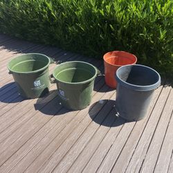 4 Larger Plants Plastic Pots . 