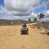 Ysidro