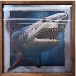 3D Shark Wall Art – Wood Frame – Open Road Brands
