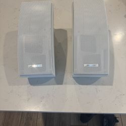BOSE Environmental 251 Outdoor Speakers.