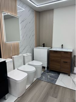 Toilet and Vanity