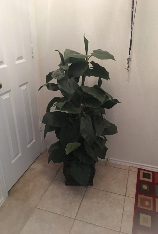 Fake Plant