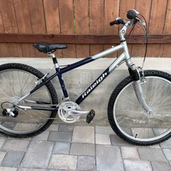 Excellent working condition Raleigh mountain bike ready to ride with 24 speed shift smoothly